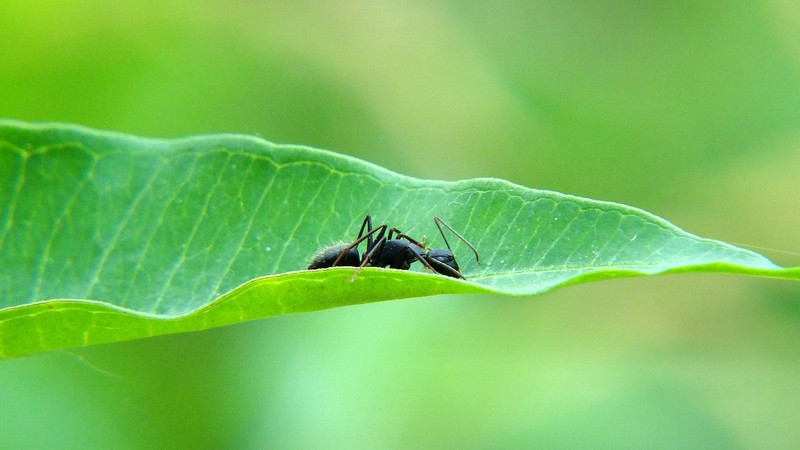 Cg-4WFK3EBCICdQkABgeJKEQ32kAAPCWwK6BgkAGB48676.jpg Cg-4WFK3EBCICdQkABgeJKEQ32kAAPCWwK6BgkAGB48676.jpg