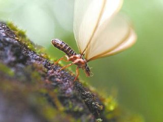 t01fc48b739254c5f00.jpg t01fc48b739254c5f00.jpg