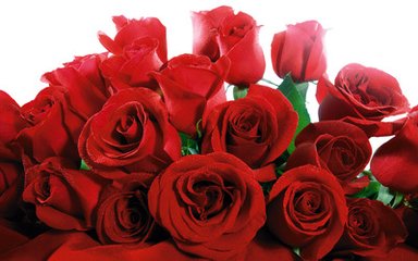 t01407afb51c035afdd.jpg t01407afb51c035afdd.jpg