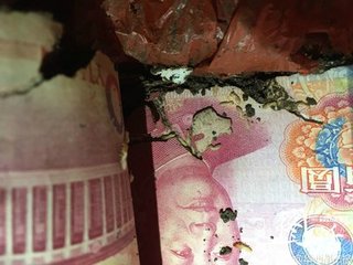 t0134daa79c5a8a1a28.jpg t0134daa79c5a8a1a28.jpg