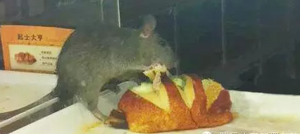 QQ��ͼ20160317142439.png QQ��ͼ20160317142439.png