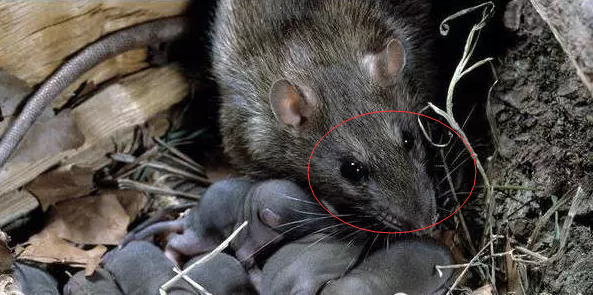 QQ��ͼ20160317143304.png QQ��ͼ20160317143304.png