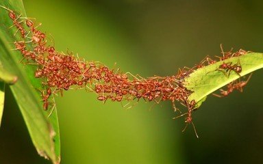 t016782b49e7298c99d.jpg t016782b49e7298c99d.jpg