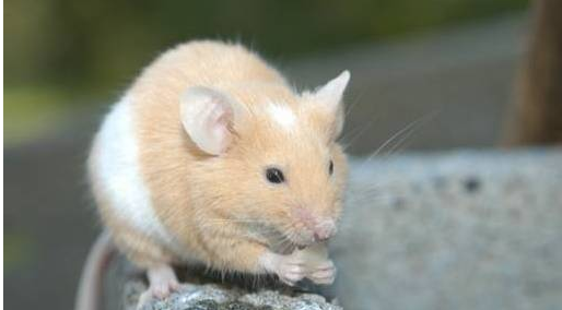 QQ��ͼ20160406160915.png QQ��ͼ20160406160915.png