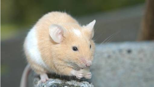 QQ��ͼ20160425162821.png QQ��ͼ20160425162821.png