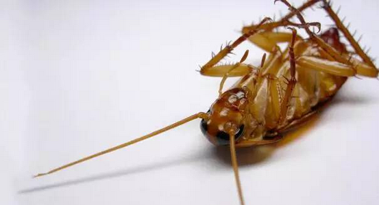 QQ��ͼ20160429111559.png QQ��ͼ20160429111559.png