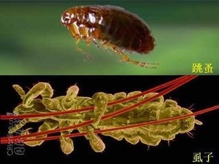 t0118c9070476486329.jpg t0118c9070476486329.jpg