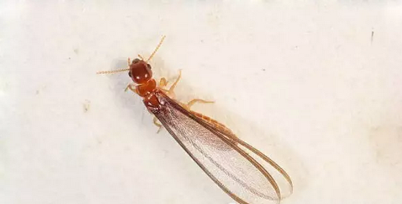 QQ��ͼ20160506162721.png QQ��ͼ20160506162721.png