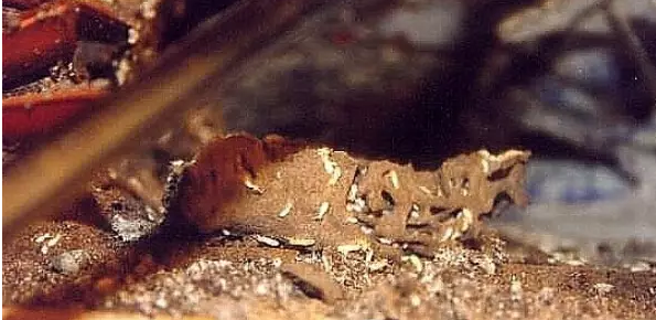 QQ��ͼ20160506162738.png QQ��ͼ20160506162738.png