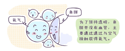 长期戴隐形眼镜 小心你的角膜会“呼吸衰竭”图二.png 长期戴隐形眼镜 小心你的角膜会“呼吸衰竭”图二.png