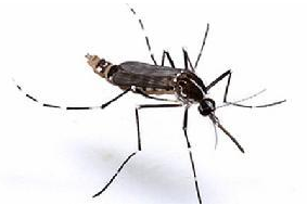 QQ��ͼ20181016150258.png QQ��ͼ20181016150258.png