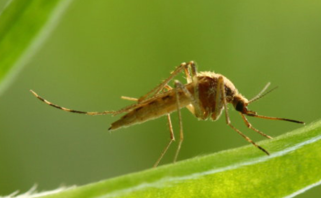 QQ��ͼ20181016150152.png QQ��ͼ20181016150152.png