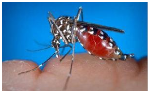 QQ��ͼ20181016150721.png QQ��ͼ20181016150721.png