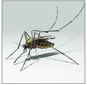 QQ��ͼ20181016151354.png QQ��ͼ20181016151354.png