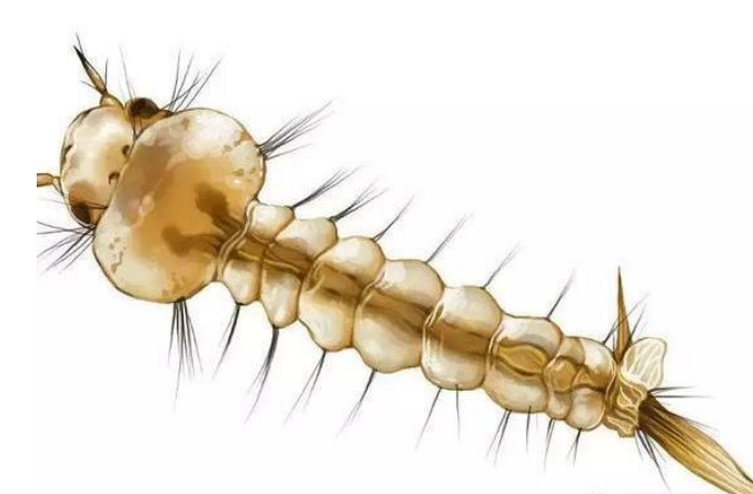 QQ��ͼ20181016152049.png QQ��ͼ20181016152049.png