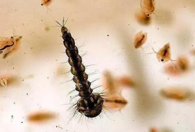 QQ��ͼ20181016152057.png QQ��ͼ20181016152057.png