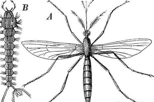 QQ��ͼ20181016152112.png QQ��ͼ20181016152112.png