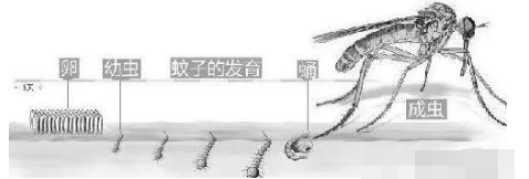 QQ��ͼ20181016152317.png QQ��ͼ20181016152317.png