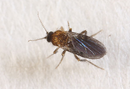 QQ��ͼ20181024111933.png QQ��ͼ20181024111933.png