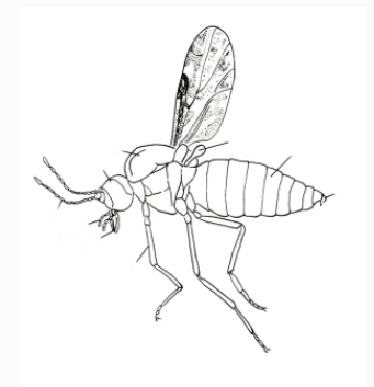 QQ��ͼ20181024114924.png QQ��ͼ20181024114924.png