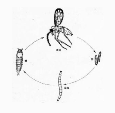 QQ��ͼ20181024115018.png QQ��ͼ20181024115018.png