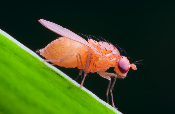 QQ��ͼ20181024152827.png QQ��ͼ20181024152827.png