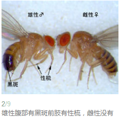 QQ��ͼ20181024152806.png QQ��ͼ20181024152806.png