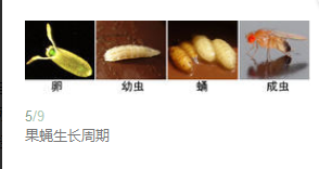 QQ��ͼ20181024152751.png QQ��ͼ20181024152751.png