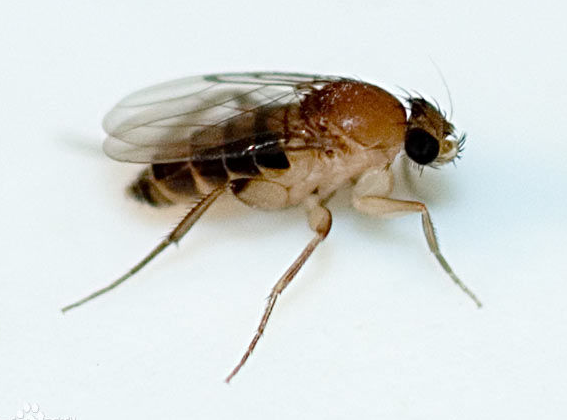 QQ��ͼ20181025132428.png QQ��ͼ20181025132428.png