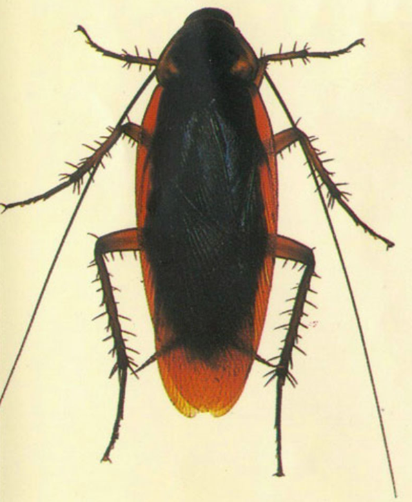 QQ��ͼ20181029114528.png QQ��ͼ20181029114528.png