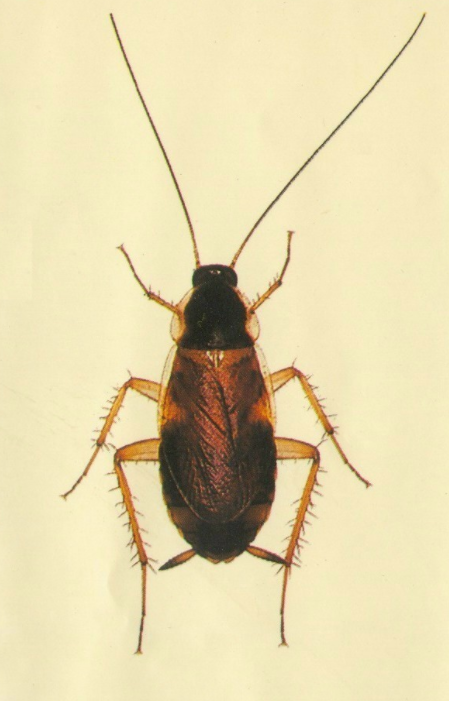 QQ��ͼ20181029114519.png QQ��ͼ20181029114519.png