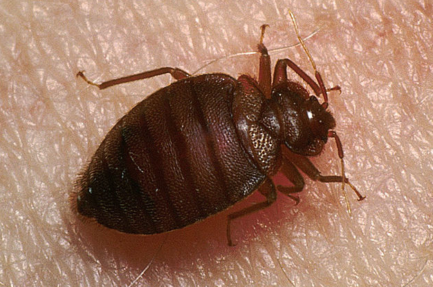 ��.png ��.png