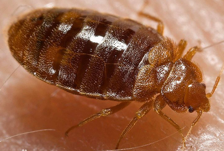 ��.png ��.png