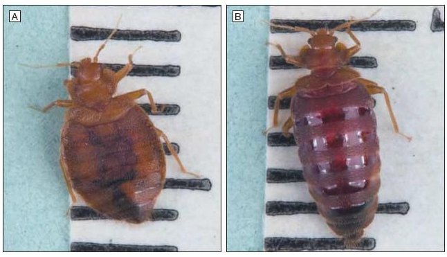 ��Ѫǰ��Ա�.png ��Ѫǰ��Ա�.png