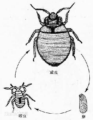 QQ��ͼ20181101113458.png QQ��ͼ20181101113458.png