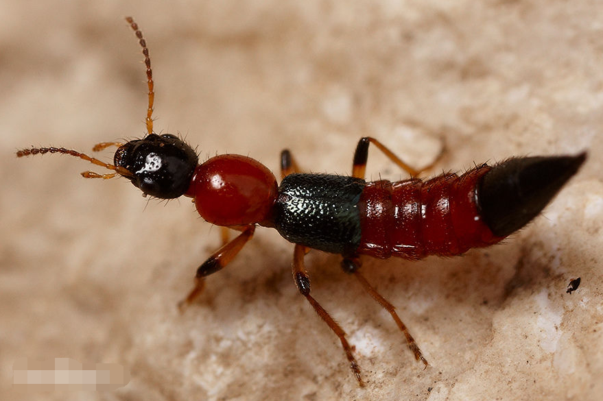 ��.png ��.png