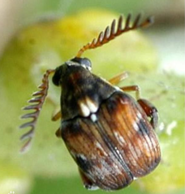 ��.png ��.png