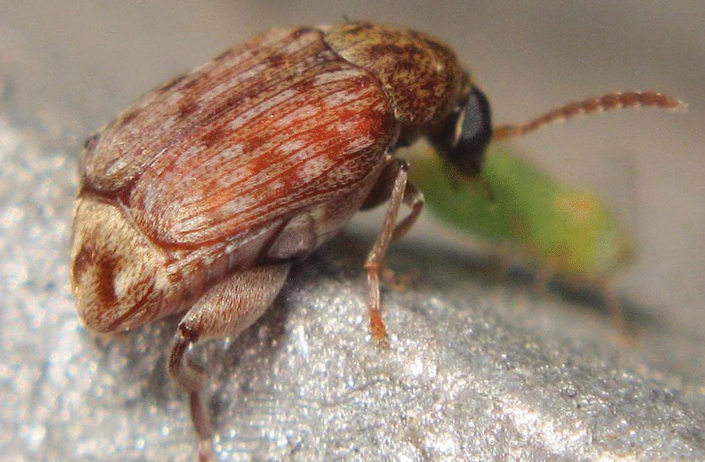 ��.png ��.png