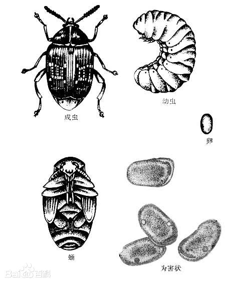 ��.png ��.png