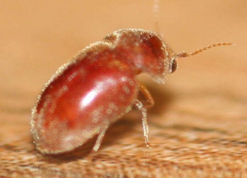 ABUIABACGAAgl-iyxwUoyOvfsAIw9AM46gI.jpg ABUIABACGAAgl-iyxwUoyOvfsAIw9AM46gI.jpg