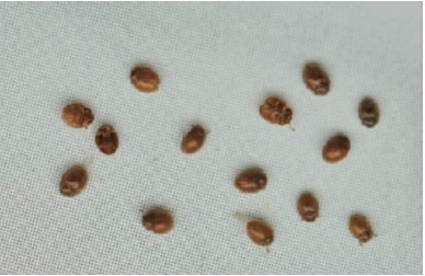 ABUIABACGAAgtJPhywUore-uoAMwhAM4-AE.jpg ABUIABACGAAgtJPhywUore-uoAMwhAM4-AE.jpg