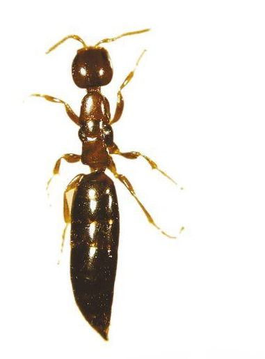 QQ��ͼ20181112172329.png QQ��ͼ20181112172329.png