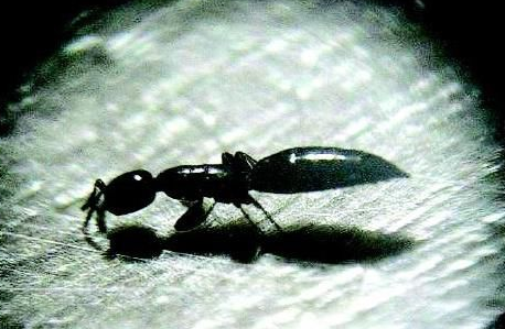 QQ��ͼ20181112172345.png QQ��ͼ20181112172345.png