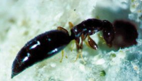 QQ��ͼ20181112172357.png QQ��ͼ20181112172357.png