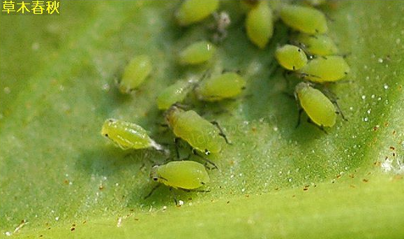 ��.png ��.png