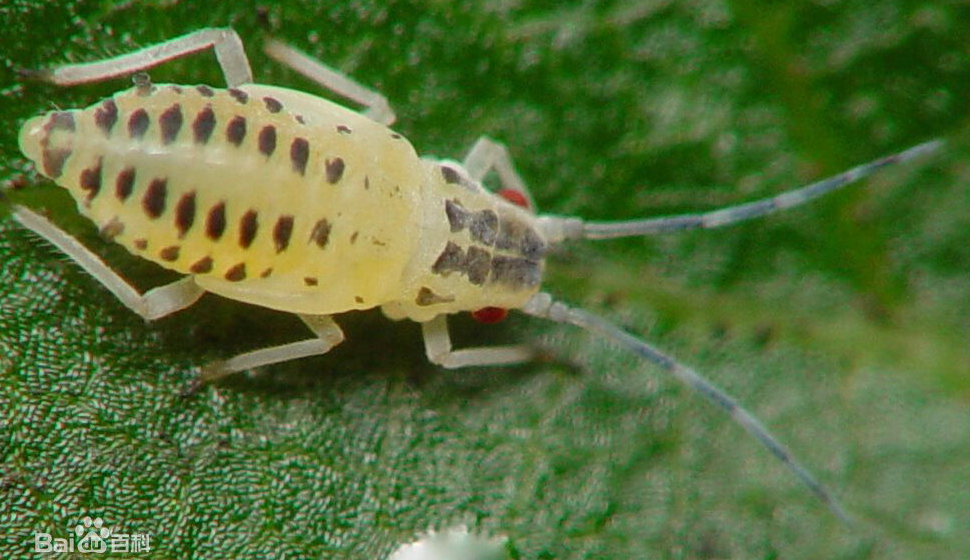 ��.png ��.png