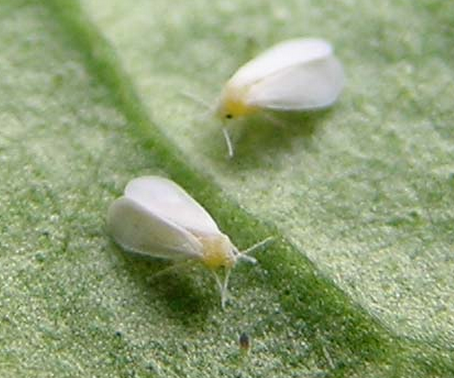 QQ��ͼ20181116122733.png QQ��ͼ20181116122733.png