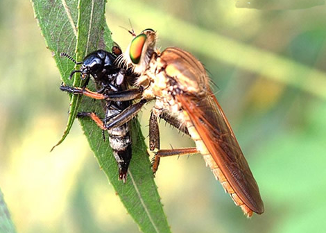 ��.png ��.png