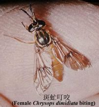 ��.png ��.png