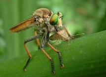 ��.png ��.png